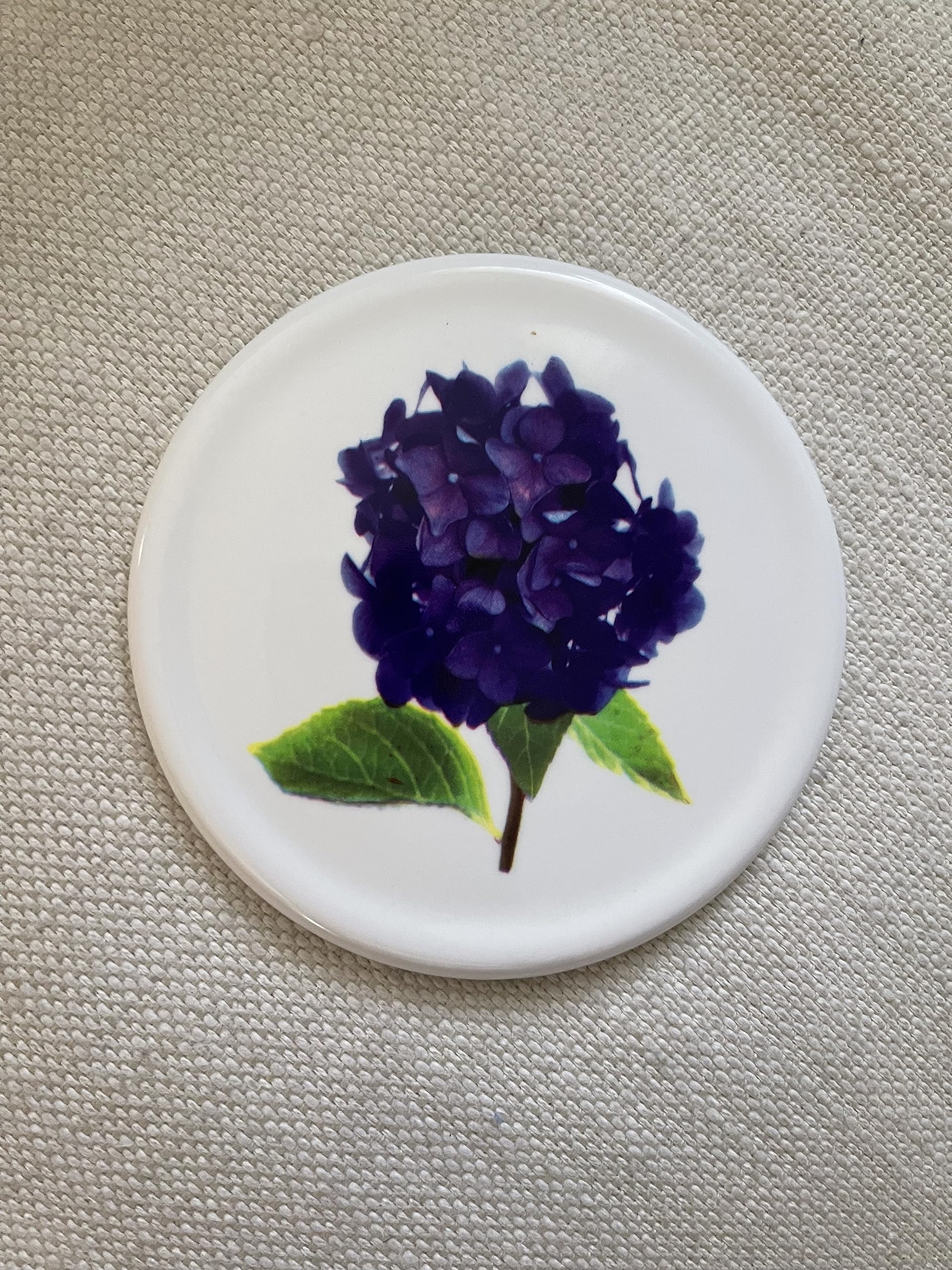 Purple Hydrangea